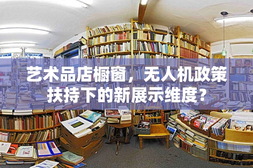 艺术品店橱窗，无人机政策扶持下的新展示维度？