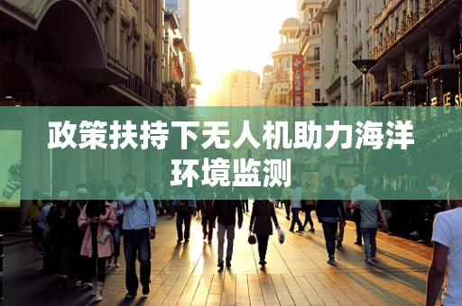 政策扶持下无人机助力海洋环境监测