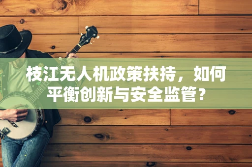 枝江无人机政策扶持，如何平衡创新与安全监管？