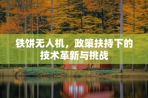 铁饼无人机，政策扶持下的技术革新与挑战