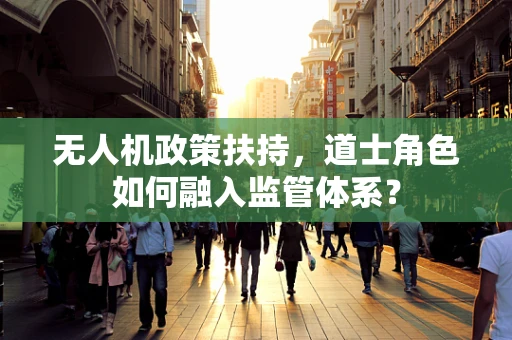 无人机政策扶持，道士角色如何融入监管体系？