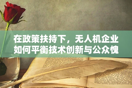 在政策扶持下，无人机企业如何平衡技术创新与公众愧疚感？