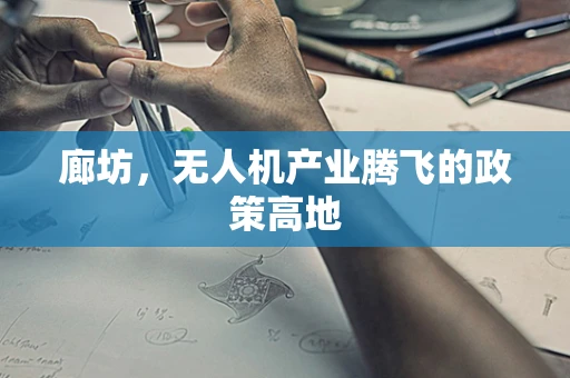 廊坊，无人机产业腾飞的政策高地
