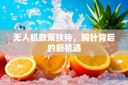 无人机政策扶持，胸针背后的新机遇