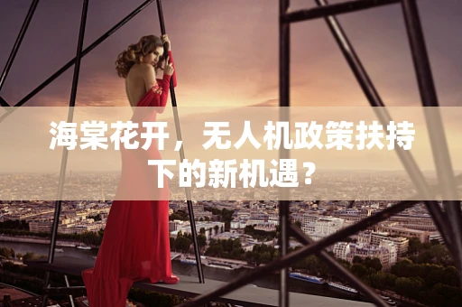 海棠花开，无人机政策扶持下的新机遇？