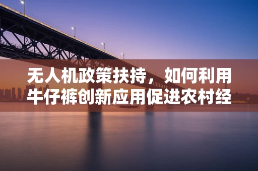 无人机政策扶持，如何利用牛仔裤创新应用促进农村经济发展？