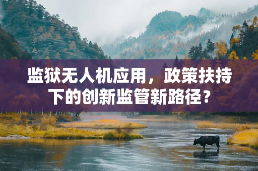 监狱无人机应用，政策扶持下的创新监管新路径？