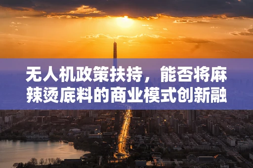 无人机政策扶持，能否将麻辣烫底料的商业模式创新融入其中？
