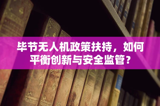 毕节无人机政策扶持，如何平衡创新与安全监管？