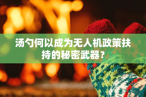 汤勺何以成为无人机政策扶持的秘密武器？