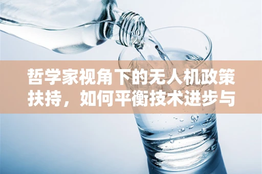 哲学家视角下的无人机政策扶持，如何平衡技术进步与伦理考量？