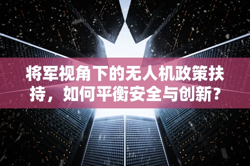 将军视角下的无人机政策扶持，如何平衡安全与创新？