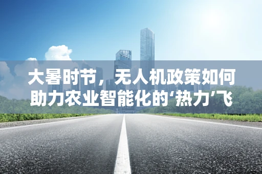 大暑时节，无人机政策如何助力农业智能化的‘热力’飞跃？