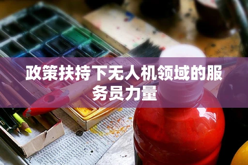 政策扶持下无人机领域的服务员力量