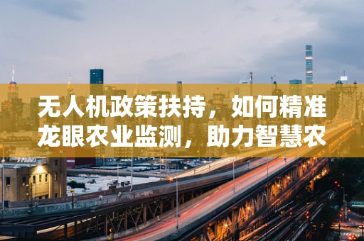 无人机政策扶持，如何精准龙眼农业监测，助力智慧农业新飞跃？