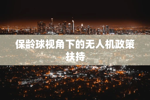 保龄球视角下的无人机政策扶持