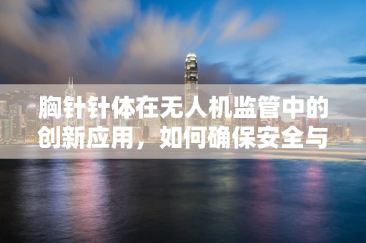 胸针针体在无人机监管中的创新应用，如何确保安全与合规？