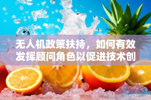无人机政策扶持，如何有效发挥顾问角色以促进技术创新？