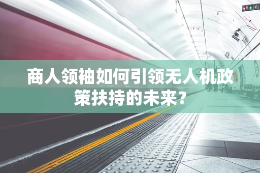 商人领袖如何引领无人机政策扶持的未来？