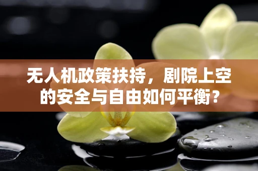 无人机政策扶持，剧院上空的安全与自由如何平衡？