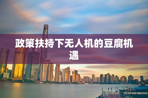政策扶持下无人机的豆腐机遇