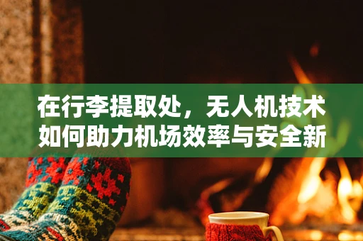 在行李提取处，无人机技术如何助力机场效率与安全新飞跃？