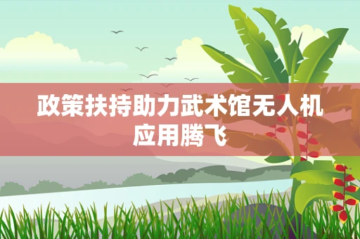 政策扶持助力武术馆无人机应用腾飞