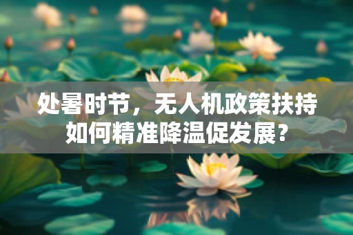 处暑时节，无人机政策扶持如何精准降温促发展？