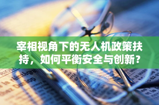 宰相视角下的无人机政策扶持，如何平衡安全与创新？