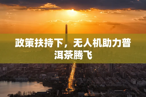 政策扶持下，无人机助力普洱茶腾飞