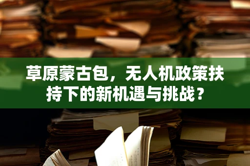 草原蒙古包，无人机政策扶持下的新机遇与挑战？