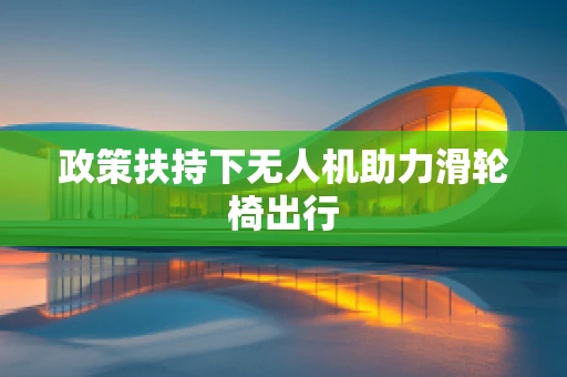 政策扶持下无人机助力滑轮椅出行