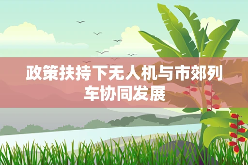 政策扶持下无人机与市郊列车协同发展