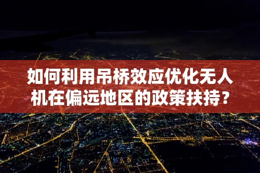 如何利用吊桥效应优化无人机在偏远地区的政策扶持？
