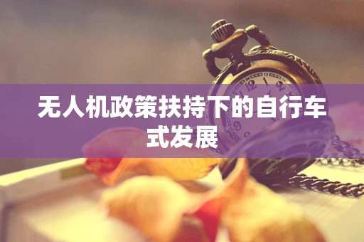 无人机政策扶持下的自行车式发展