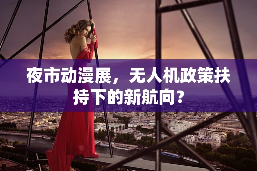 夜市动漫展，无人机政策扶持下的新航向？