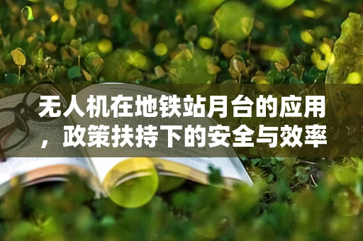 无人机在地铁站月台的应用，政策扶持下的安全与效率之问？