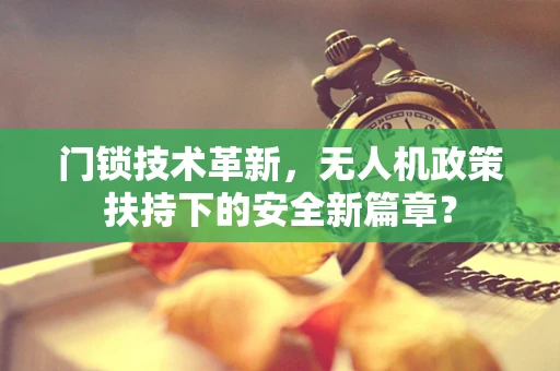 门锁技术革新，无人机政策扶持下的安全新篇章？