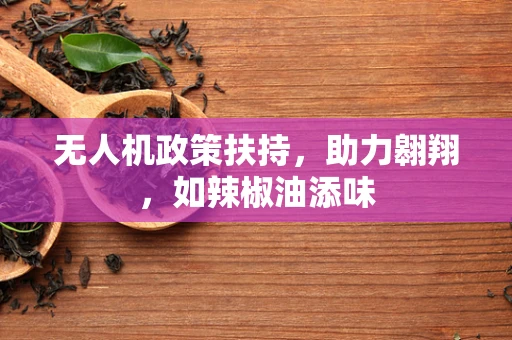 无人机政策扶持，助力翱翔，如辣椒油添味