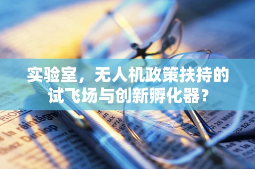实验室，无人机政策扶持的试飞场与创新孵化器？
