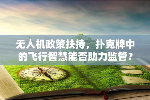 无人机政策扶持，扑克牌中的飞行智慧能否助力监管？