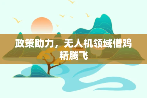 政策助力，无人机领域借鸡精腾飞