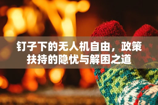 钉子下的无人机自由，政策扶持的隐忧与解困之道
