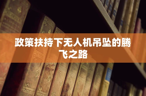 政策扶持下无人机吊坠的腾飞之路