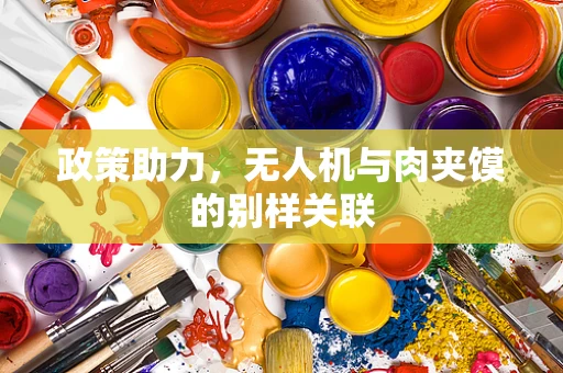 政策助力，无人机与肉夹馍的别样关联