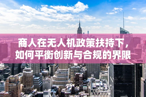 商人在无人机政策扶持下，如何平衡创新与合规的界限？
