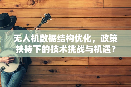 无人机数据结构优化，政策扶持下的技术挑战与机遇？
