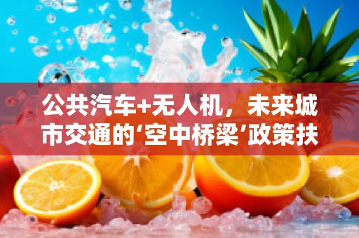 公共汽车+无人机，未来城市交通的‘空中桥梁’政策扶持新思路？