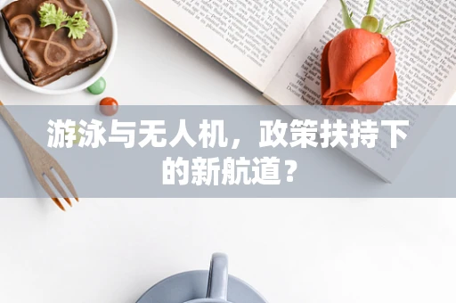 游泳与无人机，政策扶持下的新航道？