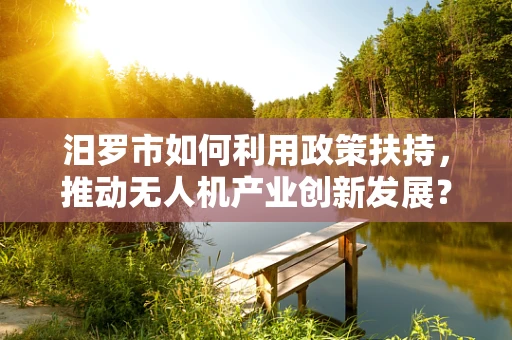 汨罗市如何利用政策扶持，推动无人机产业创新发展？